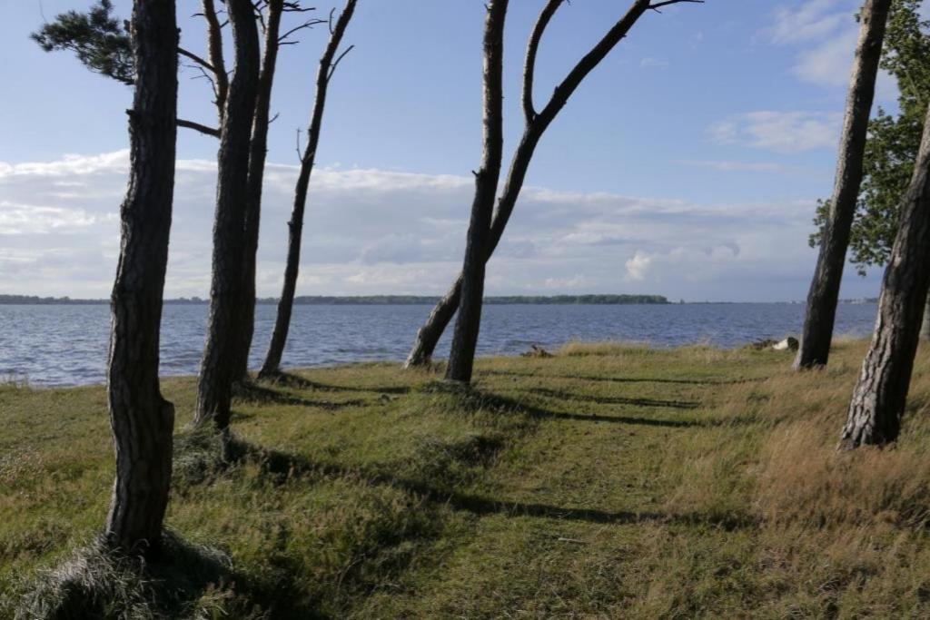 Fewo 08 Seemoewe Mit Blick Auf Salzhaff Und Ostsee レリク エクステリア 写真